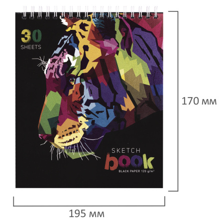 Скетчбук, черная бумага 120 г/м2, 170х195 мм, 30 л., гребень, цветная фольга, твин лак, "Тигр", 97699 - Альбомы, скетчбуки и бумага для графики и эскизов