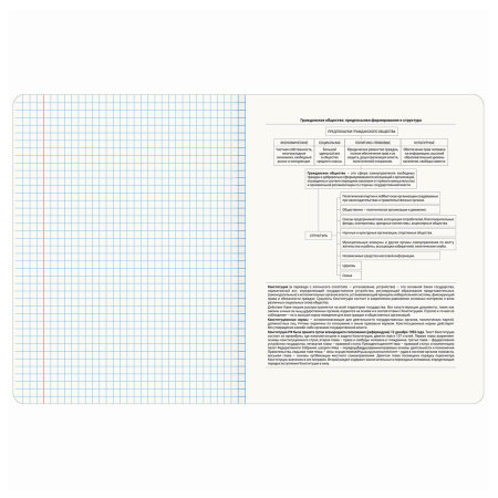 Тетрадь предметная "СИЯНИЕ ЗНАНИЙ" 48 л., глянцевый УФ-лак, ОБЩЕСТВОЗНАНИЕ, клетка, BRAUBERG, 404521 - Тетради предметные