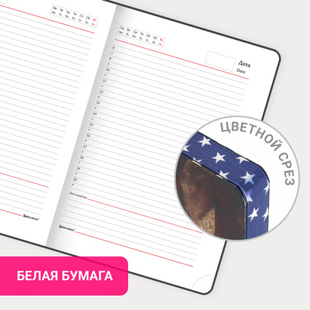 Ежедневник недатированный А5 (138х213 мм), BRAUBERG VISTA, под кожу, гибкий, 136 л., "Independence", 112006 - Ежедневники с покрытием "под кожу и ткань"