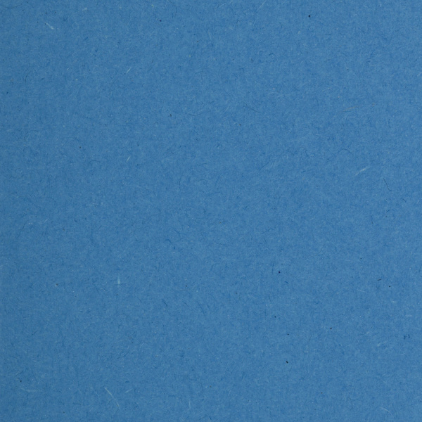 Подвесные папки А4/Foolscap (406х245 мм), до 80 листов, КОМПЛЕКТ 10 шт., синие, картон, BRAUBERG (Италия), 231793 - Подвесные папки Foolscap