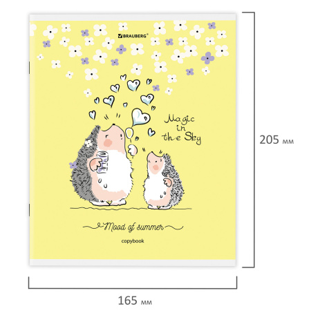 Тетрадь А5 48 л. BRAUBERG скоба, клетка, обложка картон, "Приключения Ёжика" (микс в спайке), 404366 - Тетради 40-48 листов