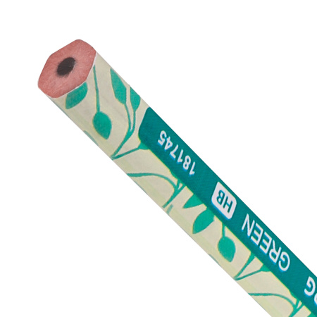 Карандаш чернографитный BRAUBERG "GREEN", 1 шт., HB, пластиковый, корпус ассорти, 181745 - Карандаши чернографитные