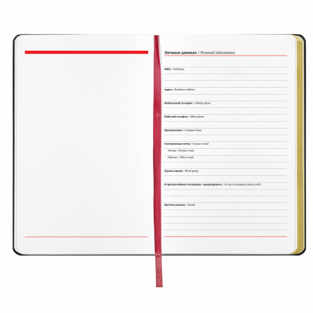 Ежедневник недатированный А5 (138х213 мм), BRAUBERG VISTA, под кожу, гибкий, 136 л., "Pomegranate", 112022 - Ежедневники с покрытием "под кожу и ткань"