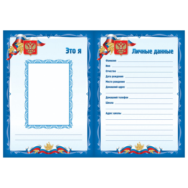 Листы-вкладыши для портфолио школьника, 30 разделов, 32 листа, "Я патриот", BRAUBERG, 126895 - Портфолио