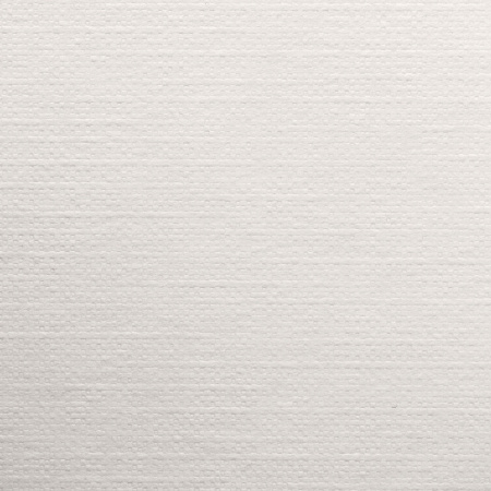 Бумага для пастели фактура "Холст" А4, 210х297 мм, 20 л., 200 г/м2, слоновая кость, ГОЗНАК, BRAUBERG, 880265 - Альбомы и бумага для пастели