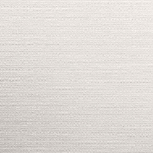 Бумага для пастели фактура "Холст" А4, 210х297 мм, 20 л., 200 г/м2, слоновая кость, ГОЗНАК, BRAUBERG, 880265 - Альбомы и бумага для пастели