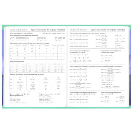 Дневник 1-11 класс 48 л., твердый, BRAUBERG, выборочный лак, с подсказом, "Крутой байк", 106604 - Дневники для младших классов
