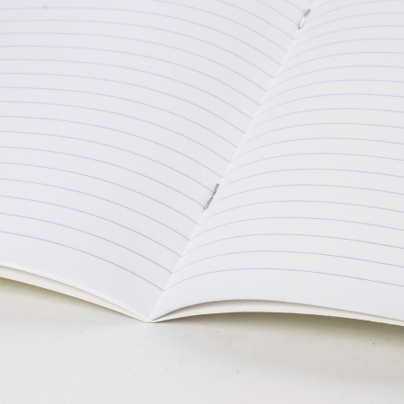 Тетради 12 л. КОМПЛЕКТ 20 шт. BRAUBERG "КЛАССИКА NEW", линия, обложка картон, АССОРТИ (5 видов), 880052 - Тетради 12-24 листов