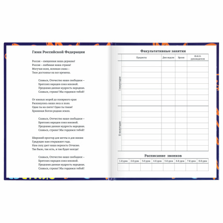 Дневник 1-11 класс 40 л., твердый, BRAUBERG, глянцевая ламинация, "Skateboarder", 106617 - Дневники универсальные