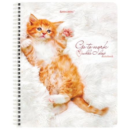 Тетрадь А5, 96 л., BRAUBERG, гребень, клетка, обложка картон, "Котики" (микс в спайке), 404425 - Тетради более 60 листов