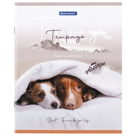 Тетрадь А5 48 л. BRAUBERG скоба, клетка, обложка картон, "Best Friends" (микс в спайке), 404360 - Тетради 40-48 листов