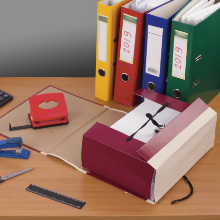 Папка для бумаг архивная А4 (225х310 мм), 120 мм, 4 завязки, бумвинил, корешок - коленкор, 123201 - Папки картонные с завязками