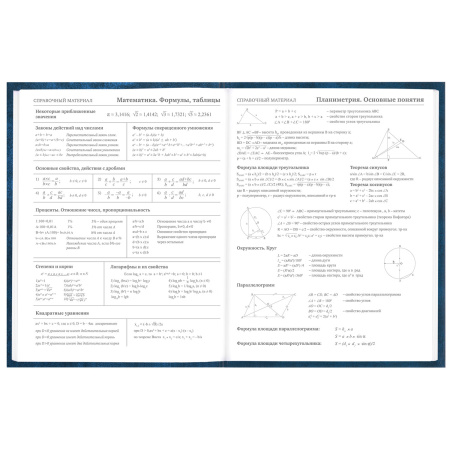Дневник 5-11 класс 48 л., твердый, BRAUBERG, глянцевая ламинация, с подсказом, "Мотивация", 106630 - Дневники для старших классов