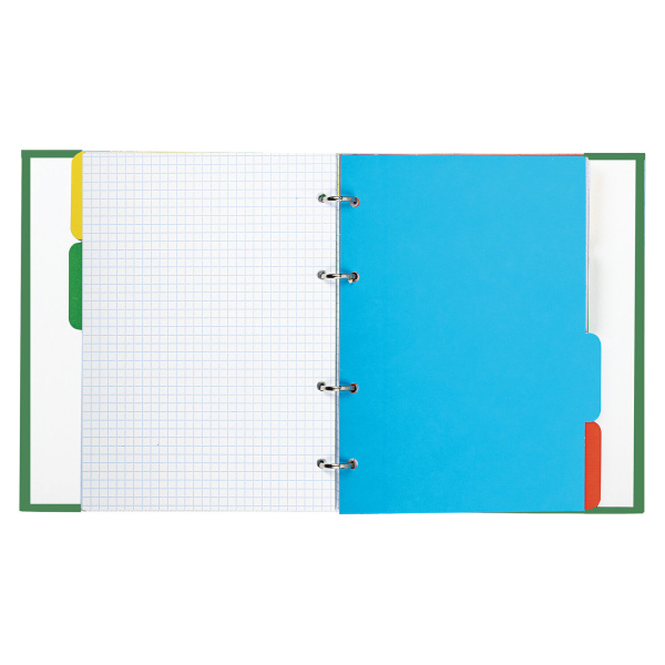 Тетрадь на кольцах А5 (175х215 мм), 240 листов, твердый картон, клетка, с разделителями, BRAUBERG, Авокадо, 404098 - Тетради на кольцах и сменные блоки к ним