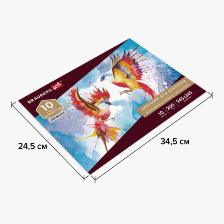 Альбом для акварели, бумага ИТАЛИЯ 200 г/м2 25% хлопок 245х345 мм, 10 л., BRAUBERG ART PREMIERE, 105911 - Альбомы и бумага для акварели и масла