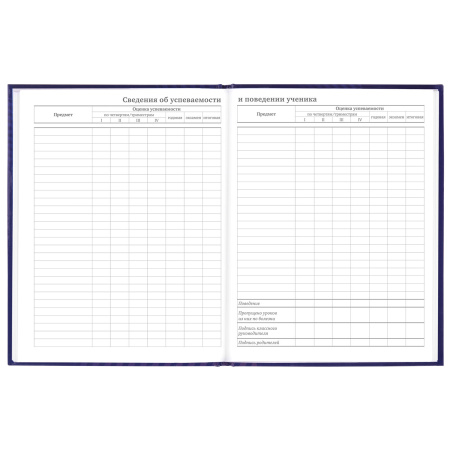 Дневник 5-11 класс 48 л., твердый, BRAUBERG, глянцевая ламинация, с подсказом, "Music", 106623 - Дневники для старших классов