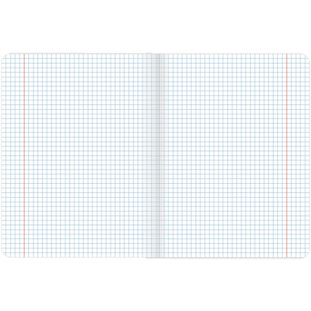 Тетрадь предметная COLOR 48 листов, матовая ламинация, лак, 70 г/м2, ФИЗИКА, клетка, подсказ, BRAUBERG, 403988 - Тетради предметные