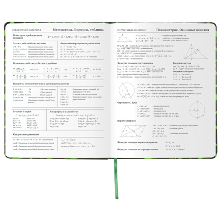 Дневник 1-11 класс 48 л., кожзам (твердая с поролоном), флуоресцентный, BRAUBERG, "ШРИФТ", 105983 - Дневники для старших классов