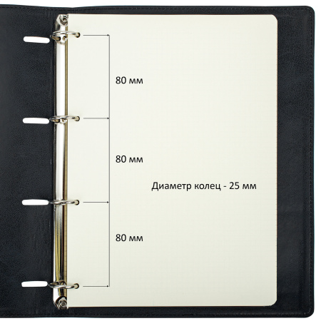 Тетрадь на кольцах БОЛЬШАЯ А4 (240х310 мм), 120 листов, под кожу, клетка, BRAUBERG "Main", черный, 404509 - Тетради на кольцах и сменные блоки к ним