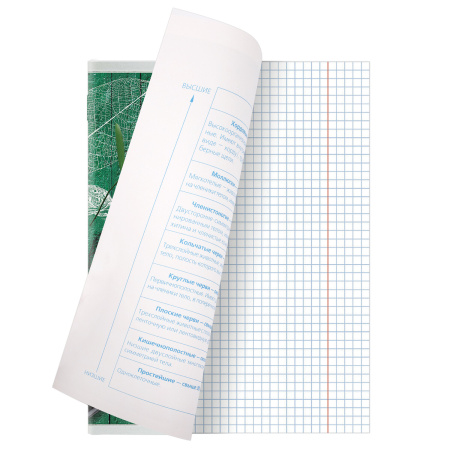 Тетради предметные, КОМПЛЕКТ 10 ПРЕДМЕТОВ, "COLLAGE", 48 листов, TWIN лак, BRAUBERG, 404030 - Тетради предметные