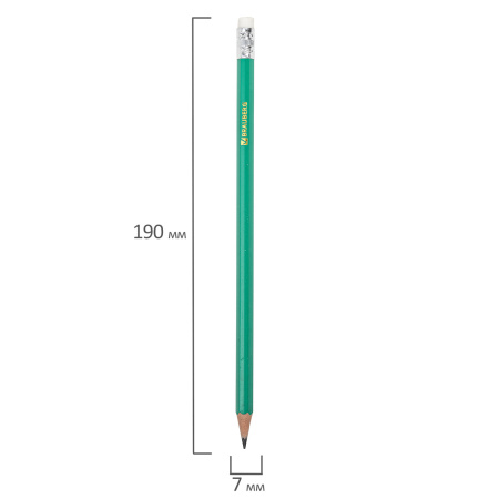 Карандаши чернографитные BRAUBERG НАБОР 12 шт., НВ, с резинкой, пластиковый зеленый корпус, 180678 - Карандаши чернографитные