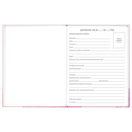 Дневник 5-11 класс 48 л., твердый, BRAUBERG, глянцевая ламинация, с подсказом, "Летний", 106631 - Дневники для старших классов