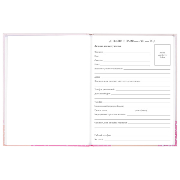 Дневник 5-11 класс 48 л., твердый, BRAUBERG, глянцевая ламинация, с подсказом, "Летний", 106631 - Дневники для старших классов