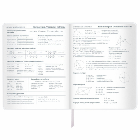 Дневник 1-11 класс 48 л., кожзам (гибкая), печать, фольга, BRAUBERG, "Insight", 106176 - Дневники универсальные