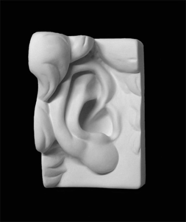 Ухо Давида правое, гипс 16*14,5*24,5 (арт.20-203)