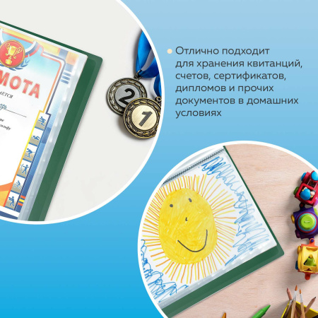 Папка 60 вкладышей BRAUBERG стандарт, зеленая, 0,8 мм, 228684 - Папки с вкладышами (файлами)