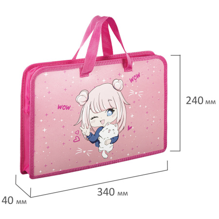 Папка на молнии с ручками ЮНЛАНДИЯ А4, 1 отделение, пластик, ширина 45 мм, "Anime Pals", 271457 - Папки-сумки с ручками