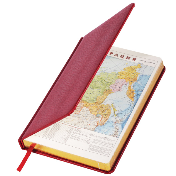 Ежедневник недатированный А5 138х213 мм BRAUBERG "Iguana" под кожу, 160 л., бордовый, 125092 - Ежедневники с покрытием "под кожу и ткань"