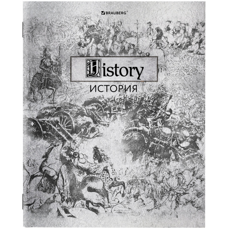 Тетради предметные, КОМПЛЕКТ 12 ПРЕДМЕТОВ, "SILVER", 48 листов, с серебряной обложкой, BRAUBERG, 404034 - Тетради предметные