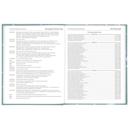 Дневник 5-11 класс 48 л., твердый, BRAUBERG, блестки, с подсказом, "Кактусы", 106420 - Дневники для старших классов