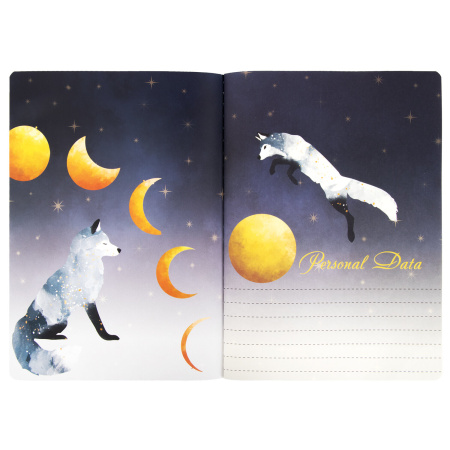 Тетради 60 л. в точку обложка SoftTouch, НАБОР 2 шт., бежевая бумага 70 г/м2, сшивка, B5 (179х250 мм), НОЧЬ, BRAUBERG, 403829 - Тетради более 60 листов