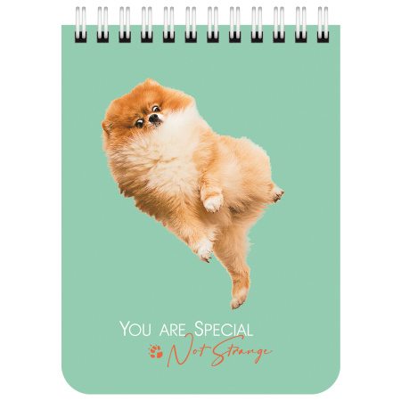 Блокнот МАЛЫЙ ФОРМАТ А6 108х145 мм, 40 л., гребень, картон, клетка, BRAUBERG KIDS, "Собачки", 114394 - Блокноты