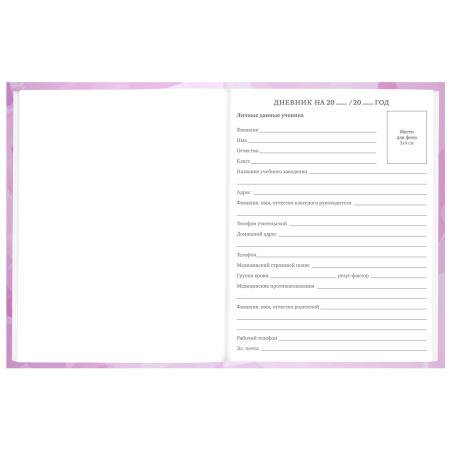 Дневник 5-11 класс 48 л., твердый, BRAUBERG, глянцевая ламинация, с подсказом, "Кактусы", 106628 - Дневники для старших классов