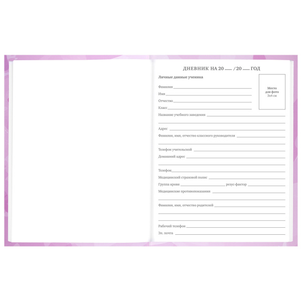 Дневник 5-11 класс 48 л., твердый, BRAUBERG, глянцевая ламинация, с подсказом, "Кактусы", 106628 - Дневники для старших классов