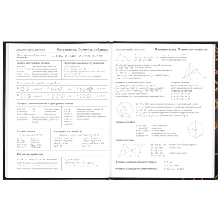 Дневник МП 1-11 класс 48 л., твердый, BRAUBERG, глянцевая ламинация, с подсказом, "Футбол", 106644 - Дневники универсальные