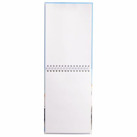 Скетчбук, белая бумага 100 г/м2, 210х290 мм, 80 л., гребень, твердая обложка, BRAUBERG ART DEBUT, 112987 - Альбомы, скетчбуки и бумага для графики и эскизов