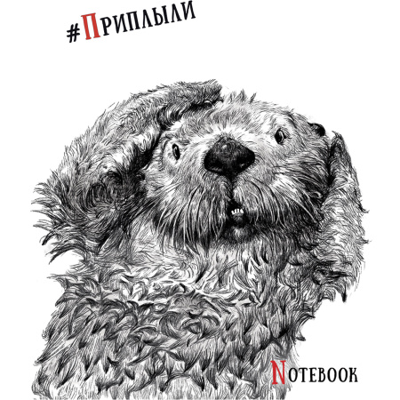 Тетрадь А5, 48 л., ПЗБМ, скоба, клетка, Soft Touch, выборочный лак, "Черно-белые звери" (5 видов), 027941 - Тетради 40-48 листов