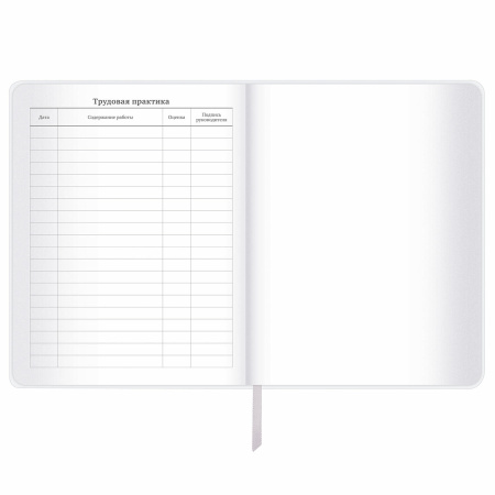 Дневник 1-11 класс 48 л., кожзам (гибкая), печать, фольга, BRAUBERG, "Insight", 106176 - Дневники универсальные