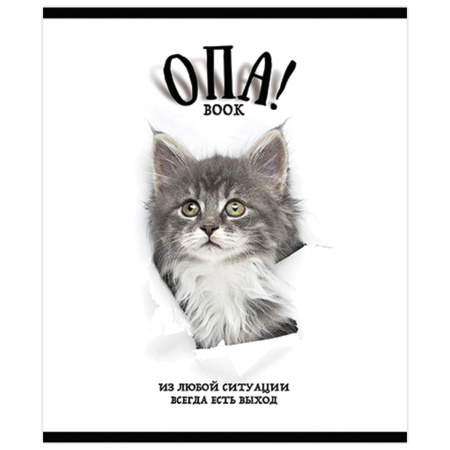 Тетрадь А5, 48 л., ПЗБМ, скоба, клетка, выборочный TWIN лак, "ОПА!" (5 видов), 028664 - Тетради 40-48 листов