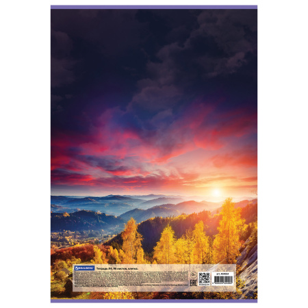 Тетрадь А4, 96 л., BRAUBERG, скоба, клетка, обложка картон, "Journey", 404064 - Тетради формата А4
