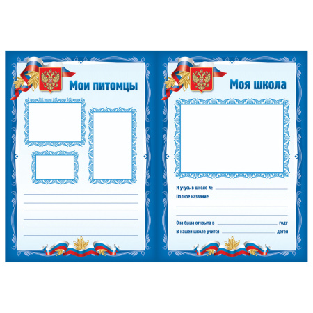 Листы-вкладыши для портфолио школьника, 30 разделов, 32 листа, "Я патриот", BRAUBERG, 126895 - Портфолио