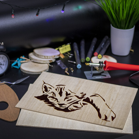 Заготовки деревянные для выжигания, выпиливания, росписи, А4, набор 2 штуки, ОСТРОВ СОКРОВИЩ, 150649 - Наборы для выжигания