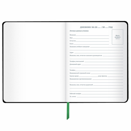 Дневник 1-11 класс 48 л., кожзам (твердая с поролоном), флуоресцентный, BRAUBERG, "Avocado", 106200 - Дневники универсальные