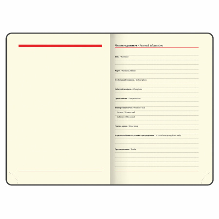 Ежедневник недатированный А5 (138х213 мм), BRAUBERG VISTA, под кожу, гибкий, 136 л., "Noir", 112009 - Ежедневники с покрытием "под кожу и ткань"