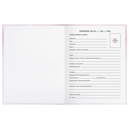 Дневник 1-11 класс 48 л., твердый, BRAUBERG, глянцевая ламинация, с подсказом, "Совушка", 106601 - Дневники для младших классов