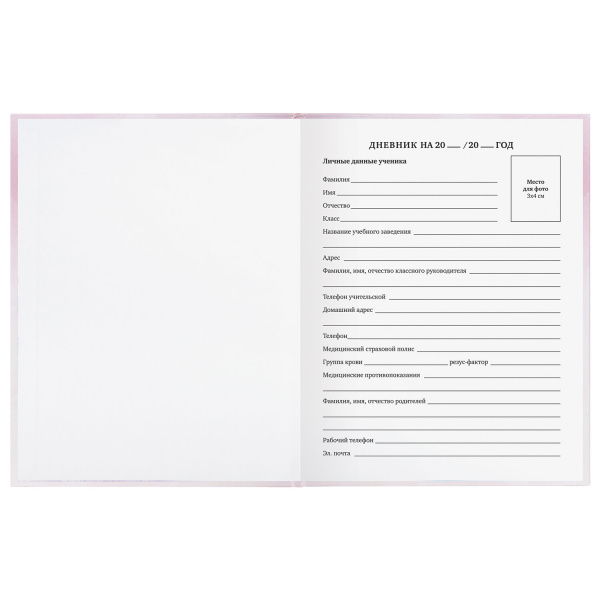 Дневник 1-11 класс 48 л., твердый, BRAUBERG, глянцевая ламинация, с подсказом, "Совушка", 106601 - Дневники для младших классов